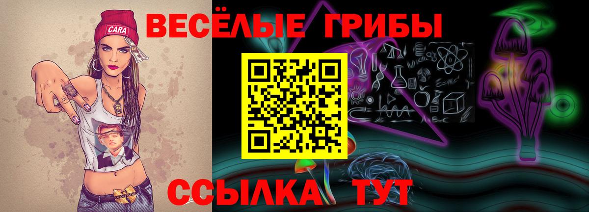 Псилоцибиновые грибы Cubensis  Вход с VPN  Сухой Лог 