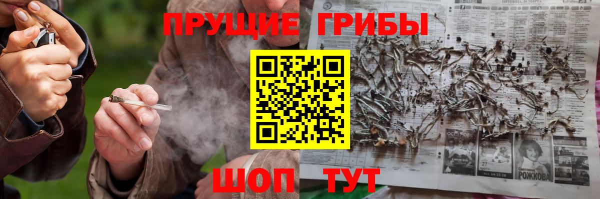 Псилоцибиновые грибы ЛСД Сухой Лог